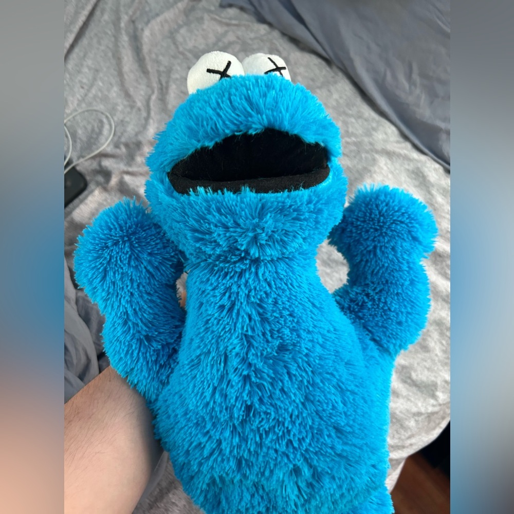Kaws Cookie Monster Plush